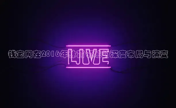 钱宝网在2016年体育领域的深度布局与演变